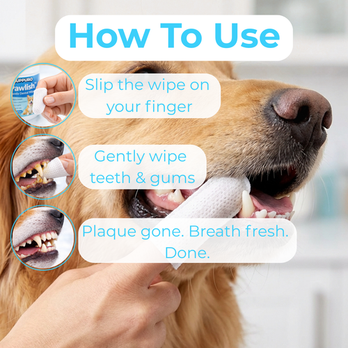 Pawlish™ – Gentle Dental Wipes