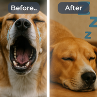 CalmFlow™ Anti-Stress Diffuser