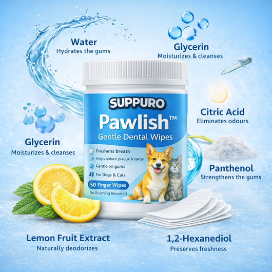 Pawlish™ – Gentle Dental Wipes