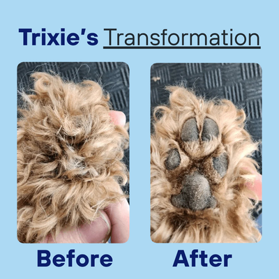 PawPal™ Pet Trimmer